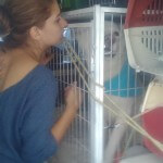 Animais avião x Taxidog Tio Edson