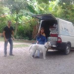 Taxidog Tio Edson viagem GO - SC