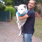 Transporte de animais domésticos Tio Edson