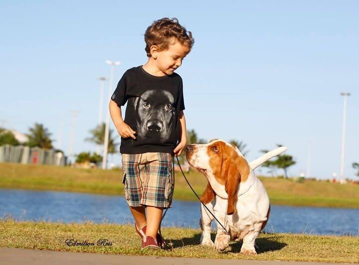 Cândido Teles, cão basset, foto de Edmilson Reis