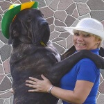 Transporte Filas Brasileiros Villier Ulmo Kennel - Taxidog Tio Edson