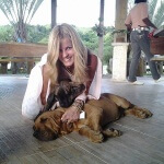 Transporte Filas Brasileiros Villier Ulmo Kennel - Taxidog Tio Edson