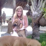 Transporte Filas Brasileiros Villier Ulmo Kennel - Taxidog Tio Edson