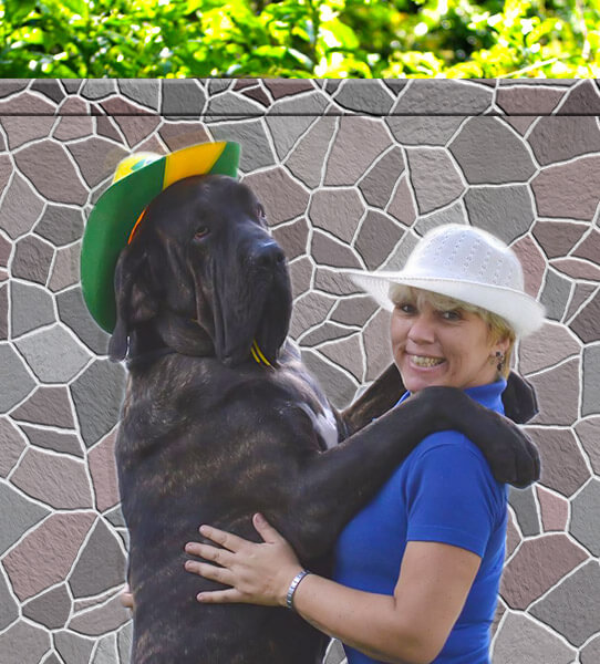 Taxidog Tio Edson - Canil Villier Ulmo