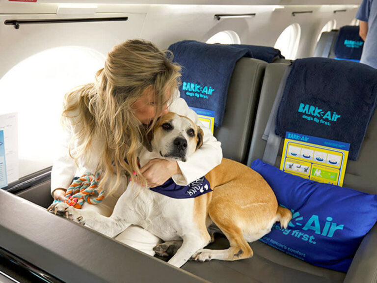 Bark Air Pet Cabine