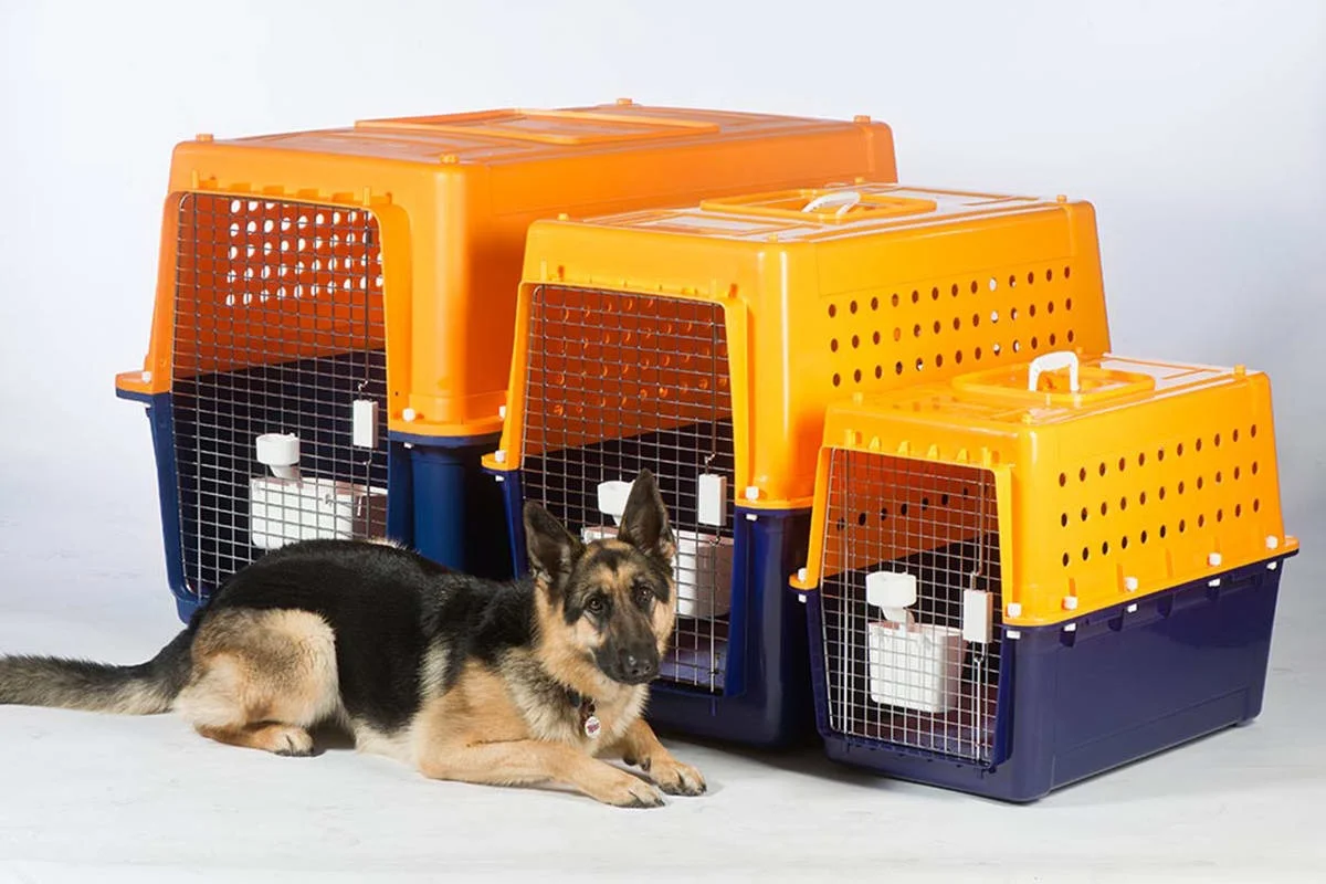 Caixa de transporte grande para cachorro