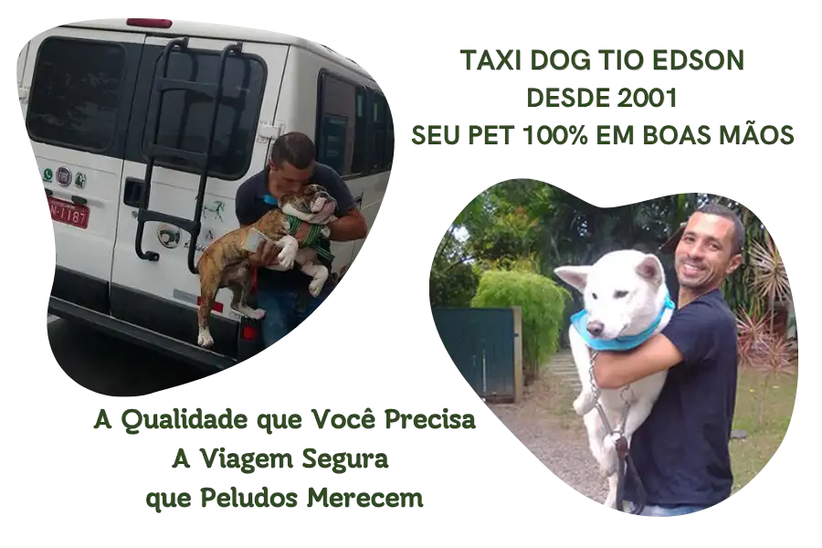 Transporte de animais de estimação - Diferenciais Tio Edson