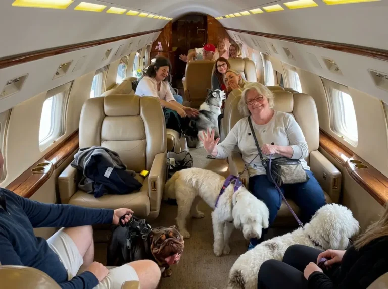 Passageiros e Pets em voo K9 Jets