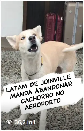 Major impedido de embarcar - Família separada