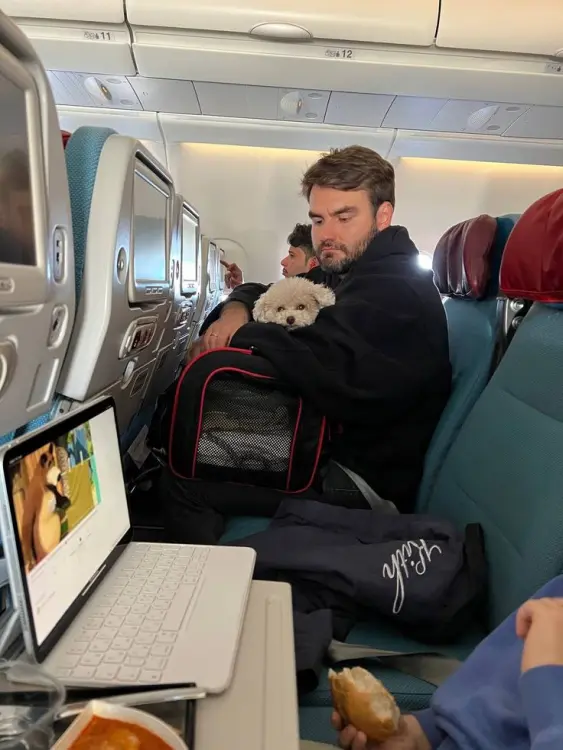 Transporte de animais em avião - Cãozinho no colo do tutor em voo EUA