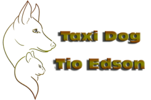 Taxidog Tio Edson – Viagens Nacionais