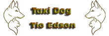 taxidog-logo1